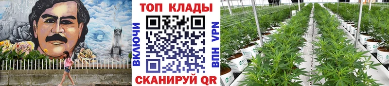 Наркошоп купить МЕТАМФЕТАМИН  Галлюциногенные грибы  COCAIN  Alpha PVP  Гашиш  Мефедрон  Каннабис  Жуковка