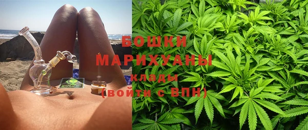 прущие грибы Зеленодольск