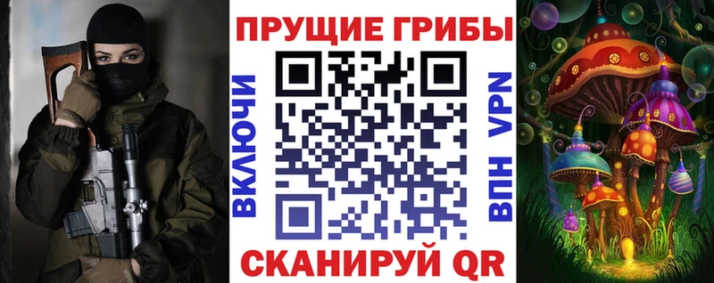Купить закладки  Жуковка  Псилоцибиновые грибы прущие грибы 