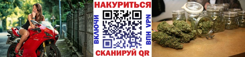 Конопля семена  Купить где  Жуковка 